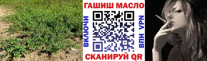Купить  Обь  Дистиллят ТГК концентрат 