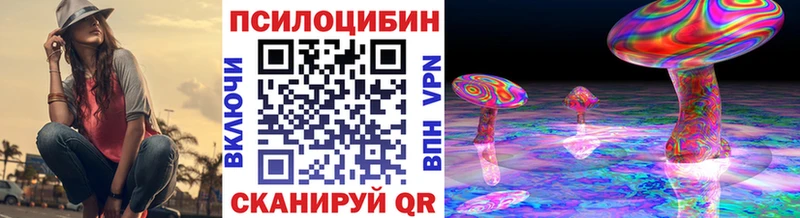 Галлюциногенные грибы Psilocybine cubensis  Купить где  Обь 